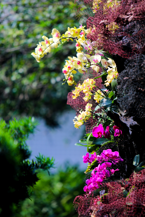 大阳城集团娱乐视频