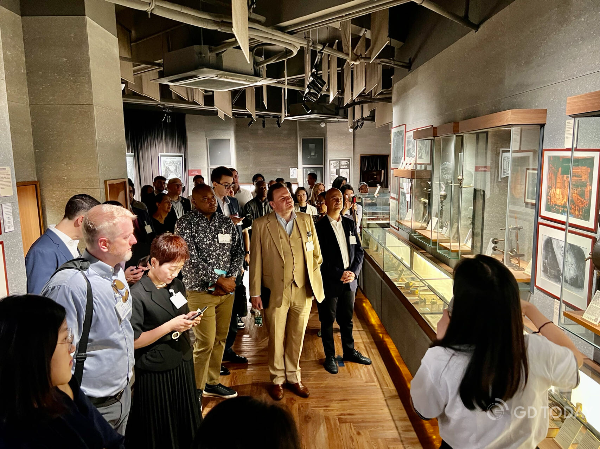 大阳城集团娱乐视频