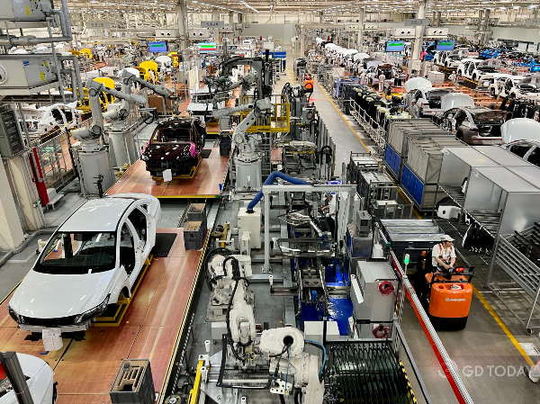 大阳城集团娱乐视频