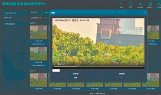 鸟脸识别 海珠湿地解锁生态监测新技术