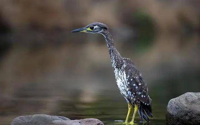 大阳城集团娱乐视频