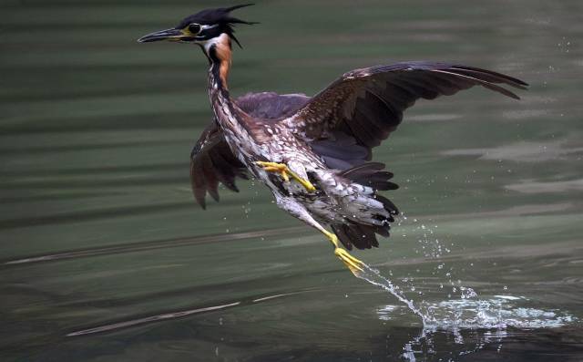 大阳城集团娱乐视频