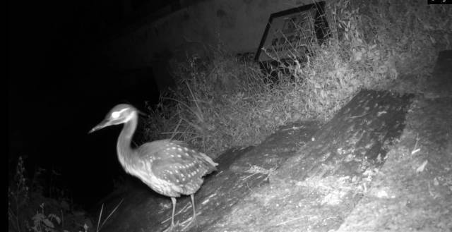 大阳城集团娱乐视频