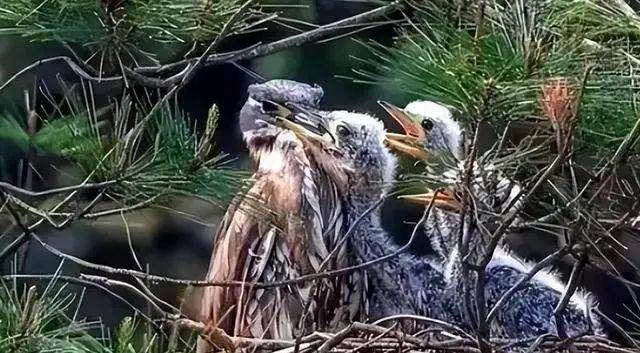 大阳城集团娱乐视频