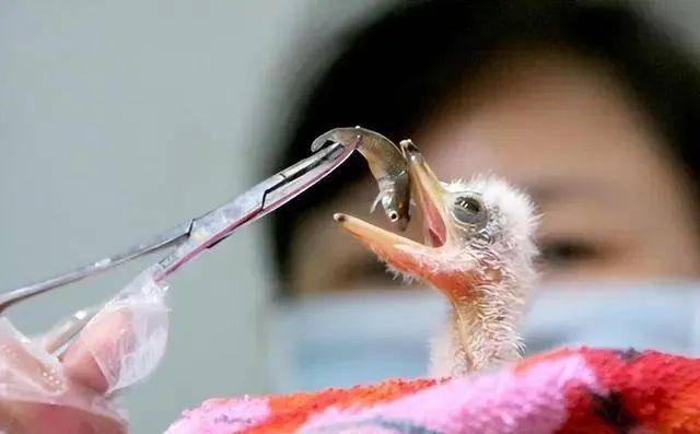 大阳城集团娱乐视频