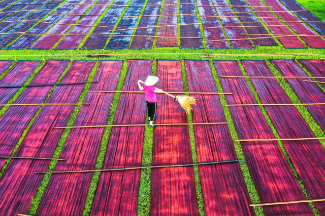 南沙湴湄村：香云纱很“忙”，非遗游“出圈”