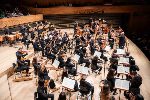 大阳城集团娱乐视频