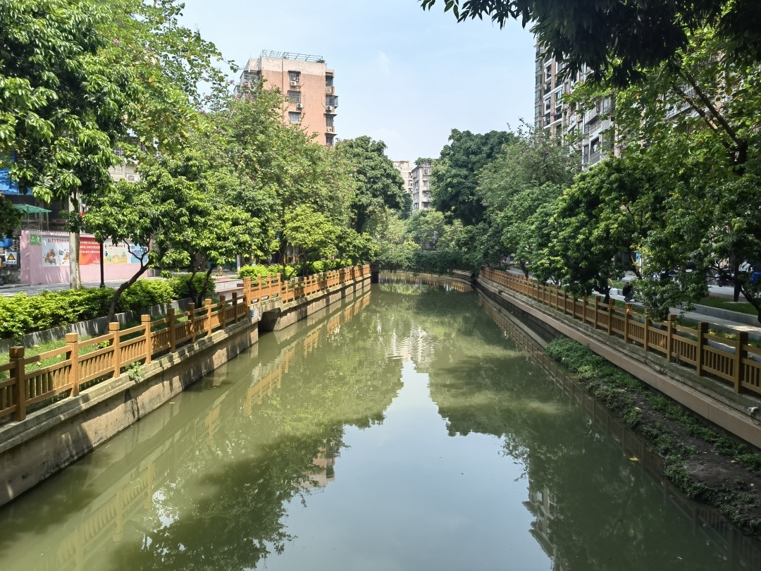 荔湾彩虹街：古水润民生，打造现代化绿色生态“名片”