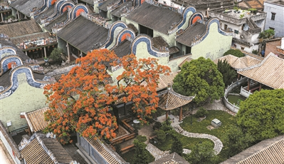 “凤凰”古祠相映“红”