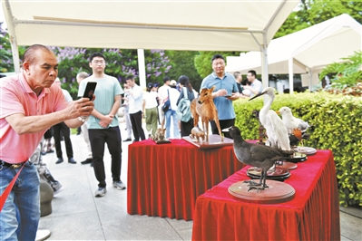 广州市开展2024年国际生物多样性日宣传活动