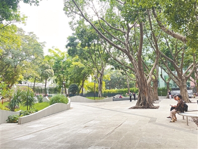 竹丝岗公园“焕新” 街坊又添好去处