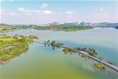 向绿而行，打造“美丽山水花城”