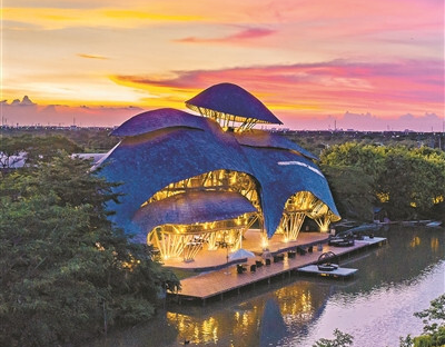 深植环保意识 建设生态文明 ——广州持续保护生物多样性 推动生态文明理念深入人心