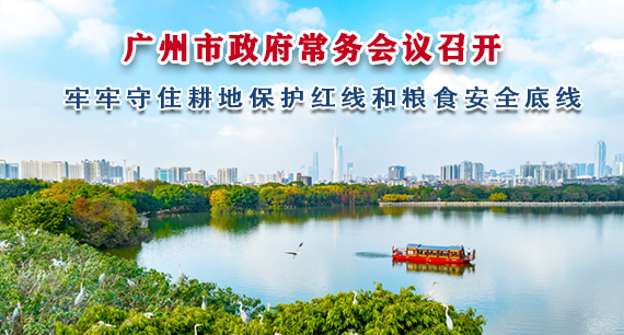 【一图读懂】一图读懂16届72次市政府常务会议