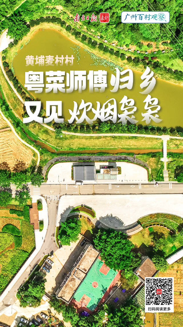 大阳城集团娱乐视频