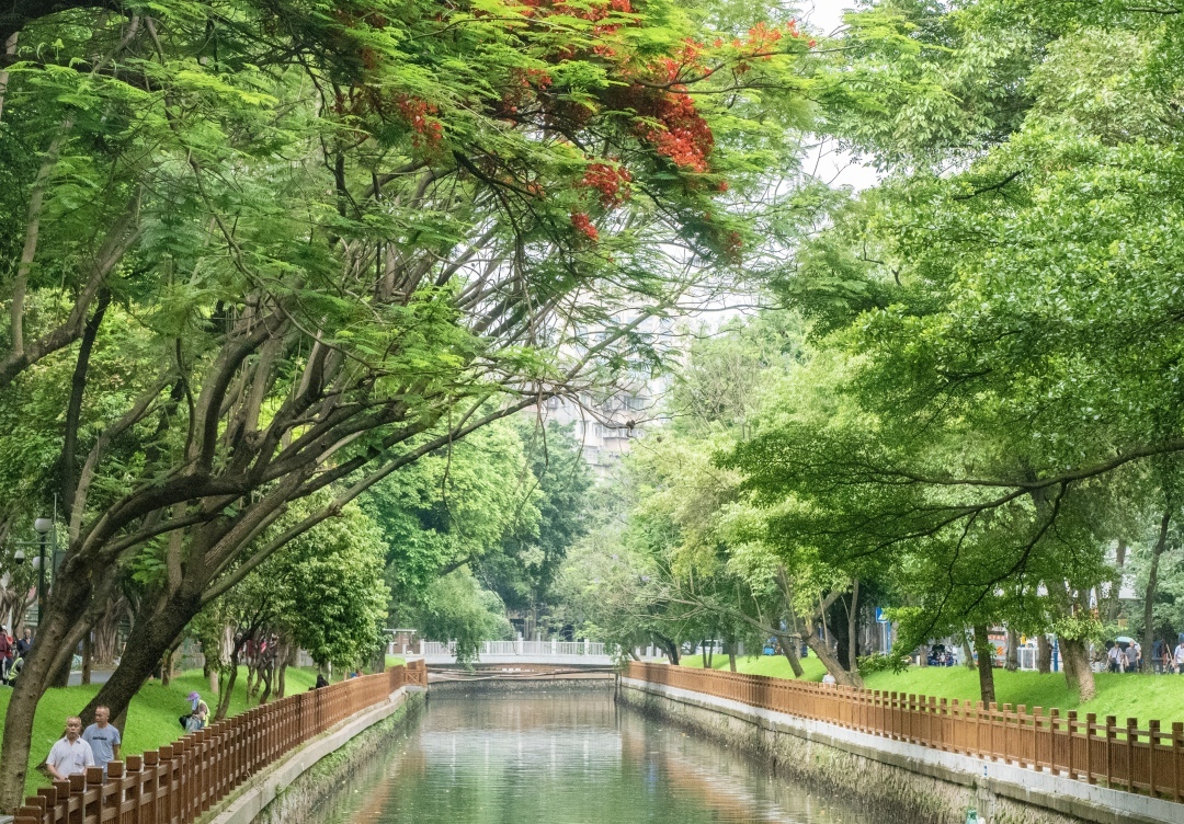 “绿美”共享，打造驷马涌、荔枝湾高质量滨水空间