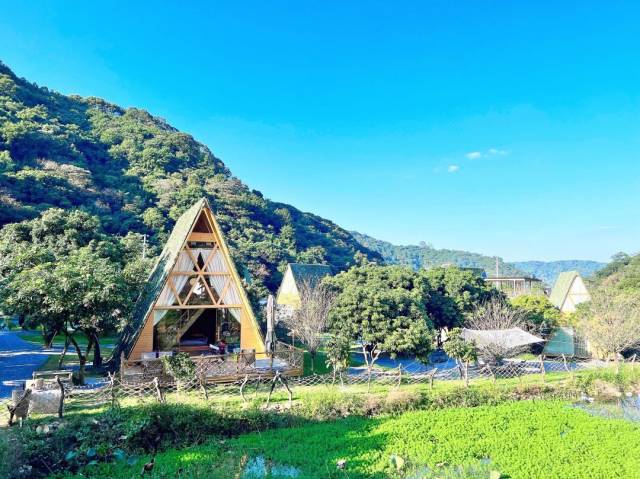 从化锦一村：人人当“村播”，带货带乡愁