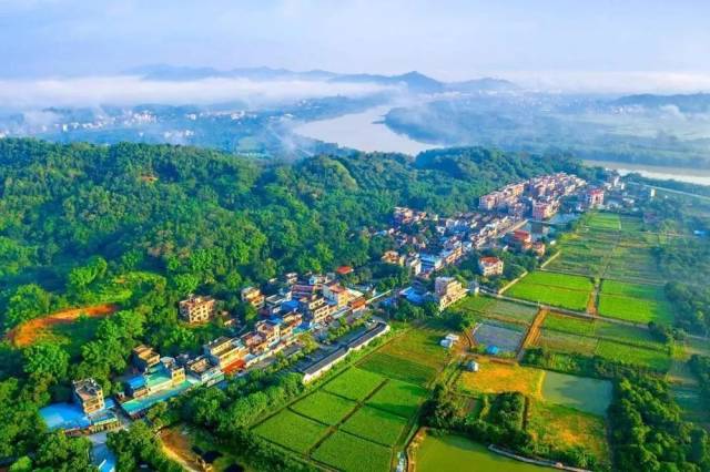 增城多点发力，绘就美丽乡村新画卷