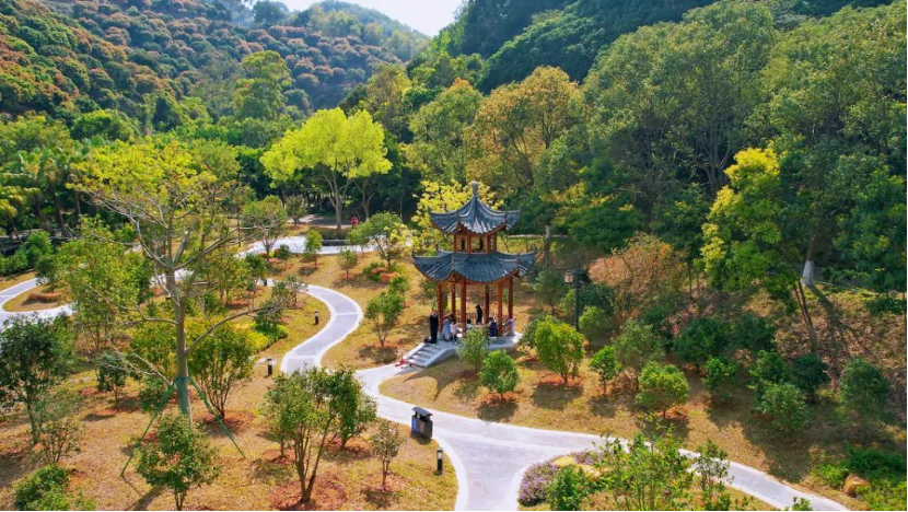 广州增城：高标准建设广东太子森林公园绿美示范保护地