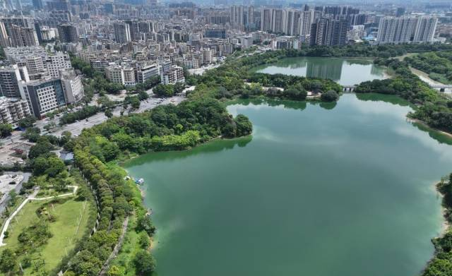 祝贺！花都湖国家湿地公园入选广东省自然教育基地