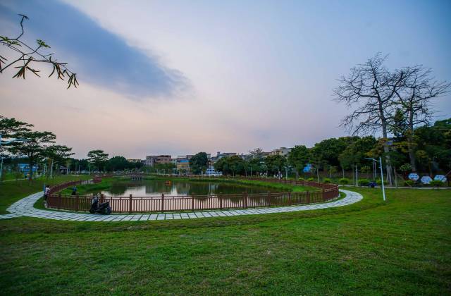 番禺桥山村：“颜值”变产值，“花经济”绽放