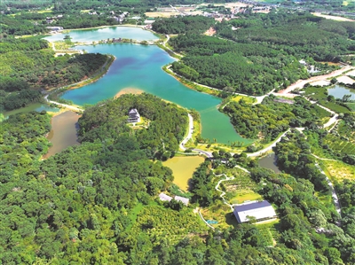 省级绿美碧带、幸福河湖建设名单公布 广州8个项目上榜