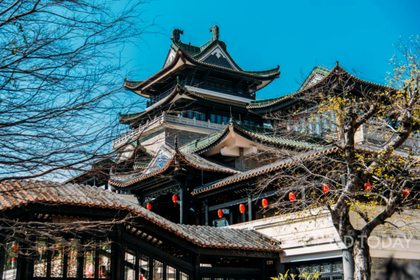 大阳城集团娱乐视频