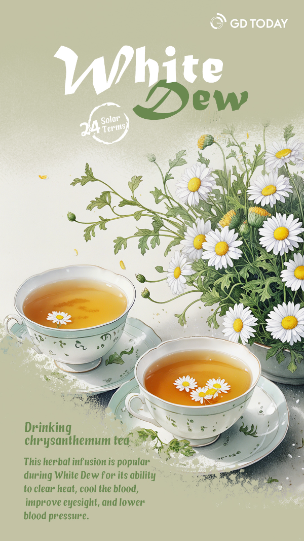 大阳城集团娱乐视频