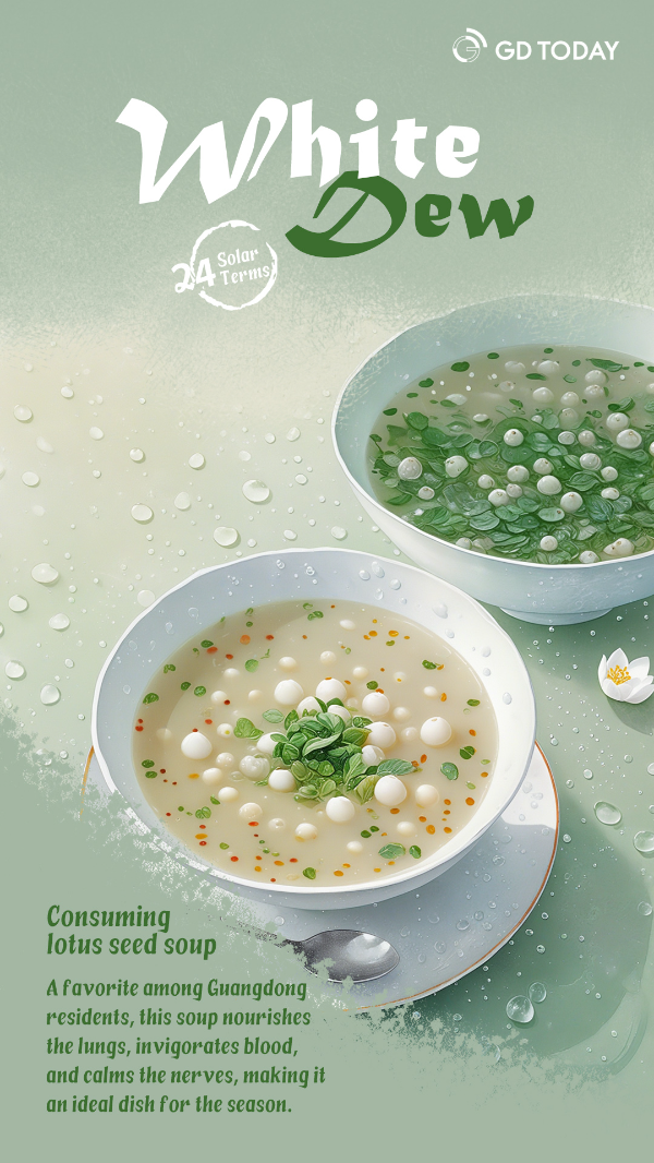 大阳城集团娱乐视频