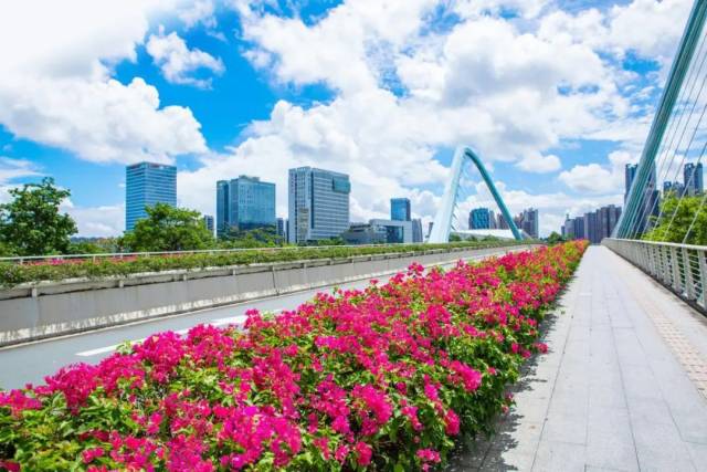 摄于：蕉门河双桥