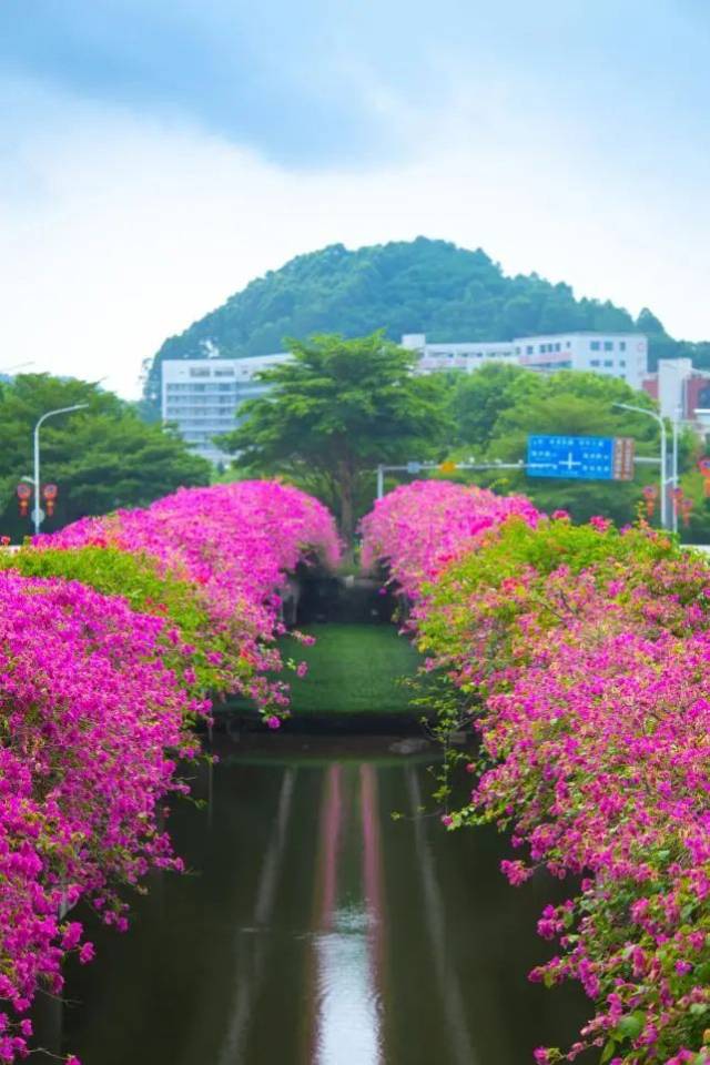 摄于：蕉门滘桥