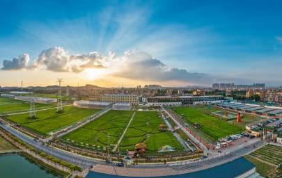 白云清河村：早“研”晚“游”，产村融合