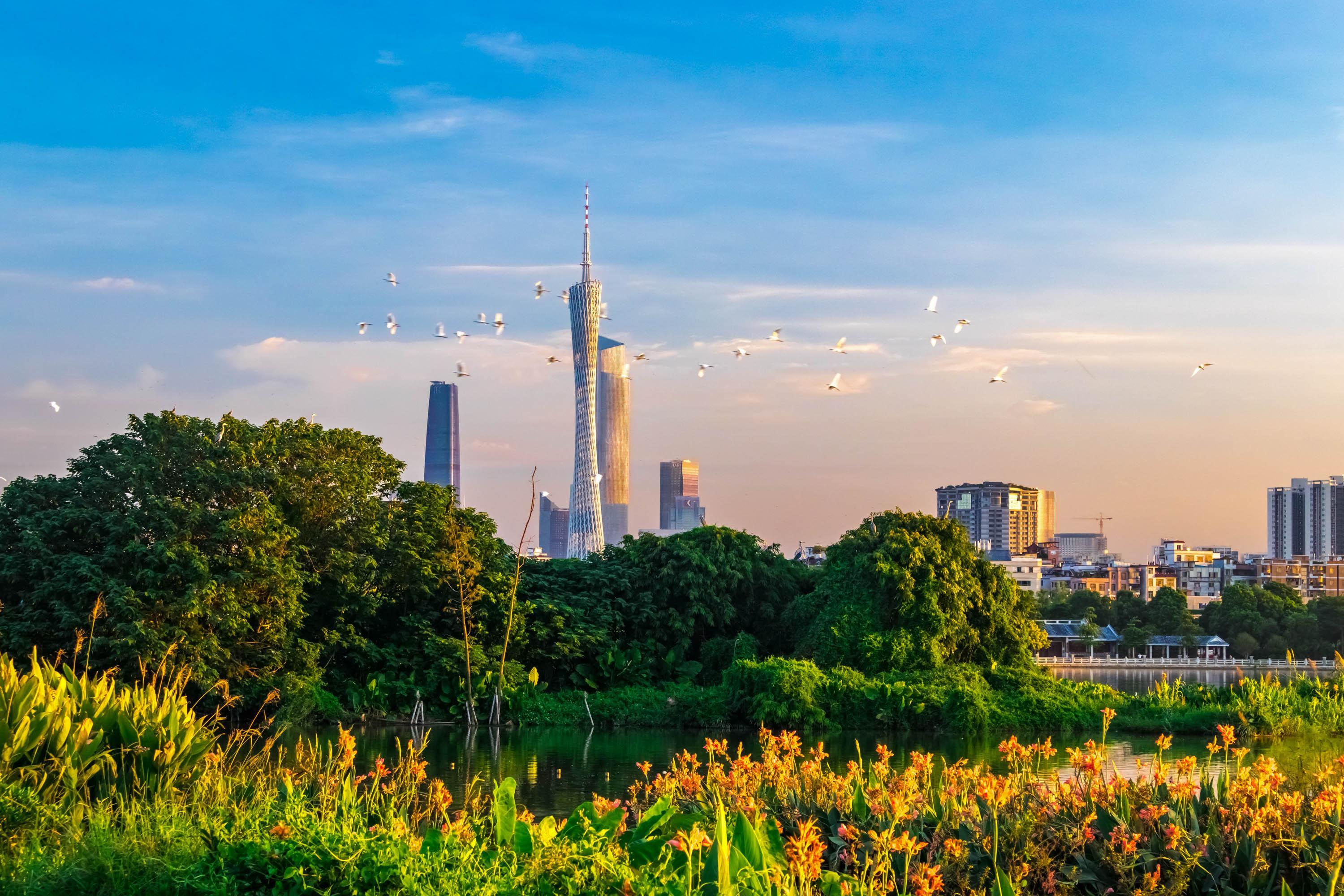 广州发布今年第2号总林长令