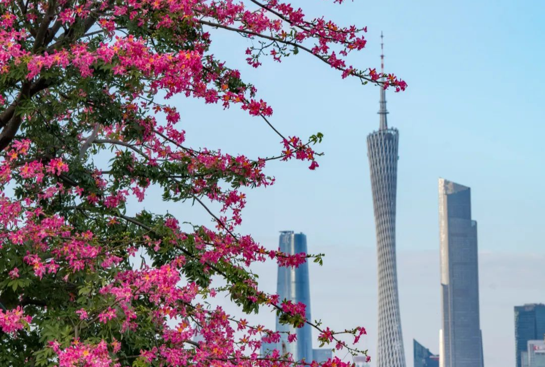 广州市发布2024年第3号总林长令