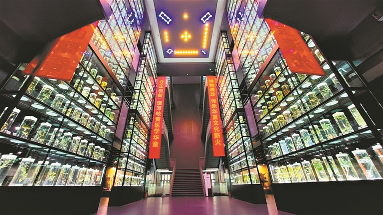 12862267_zhanghl_1730647107137_s