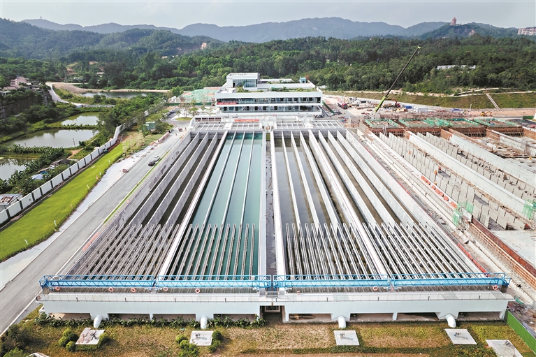 12898139_zhanghl_1731243204997_s