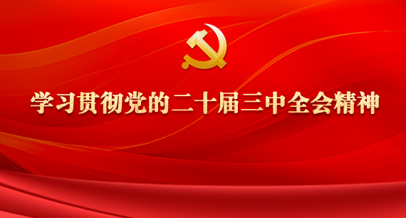 学习贯彻党的二十届三中全会精神