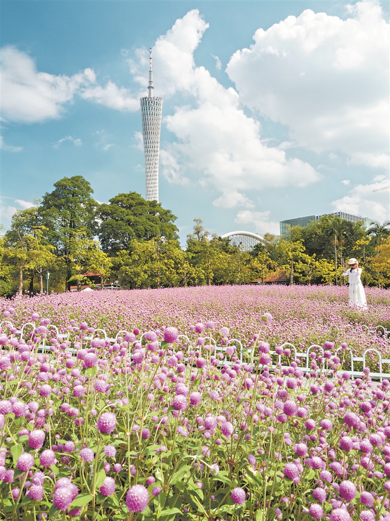 12934294_zhanghl_1731845535344_s