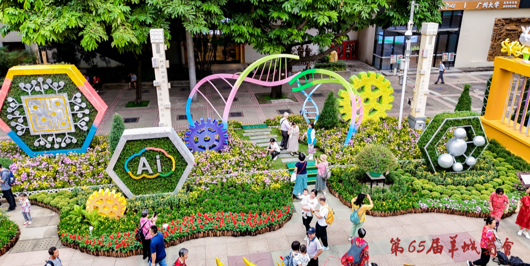 广州文化公园羊城菊会开幕，最佳观赏期在月底