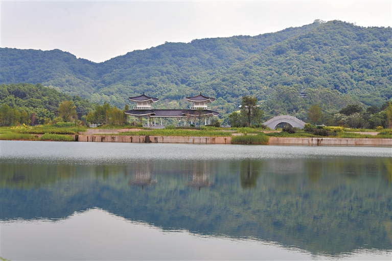 12986001_zhanghl_1732711842060_s