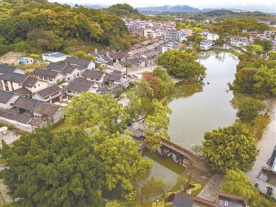 周末好去处 打卡广州14条精品新乡村示范带