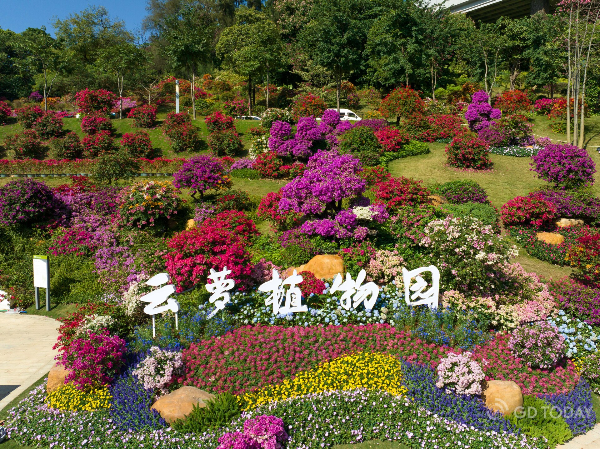 大阳城集团娱乐视频