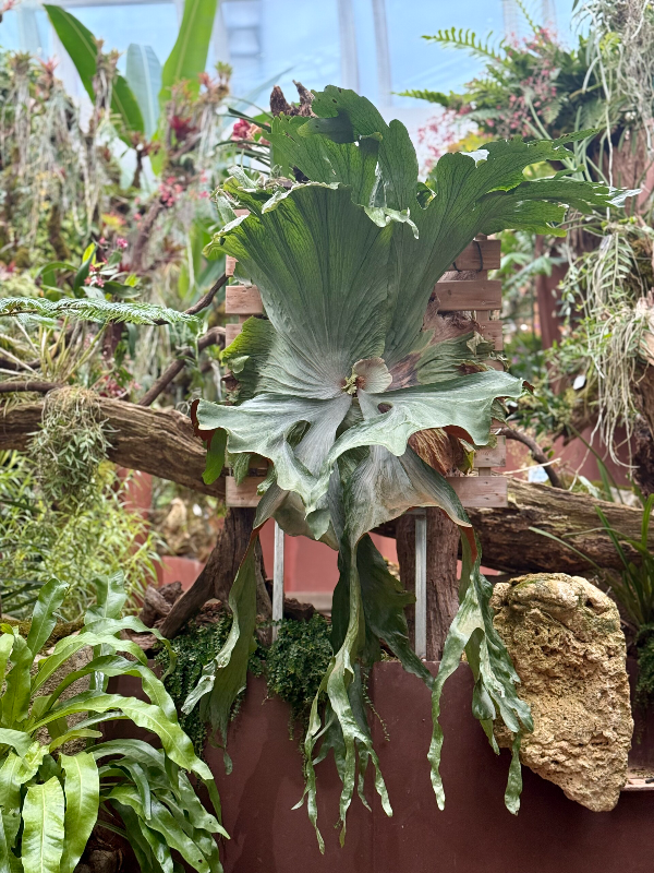 大阳城集团娱乐视频