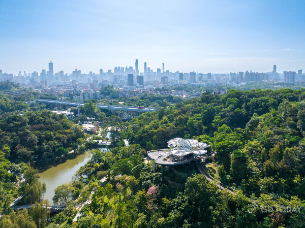 大阳城集团娱乐视频