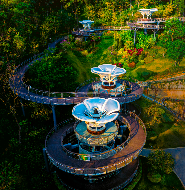 大阳城集团娱乐视频