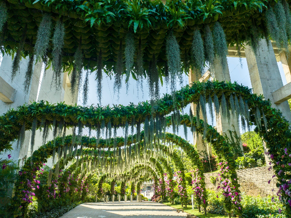 大阳城集团娱乐视频