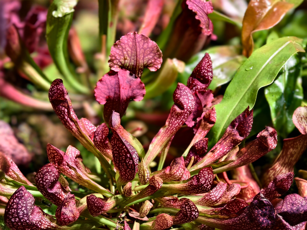 大阳城集团娱乐视频