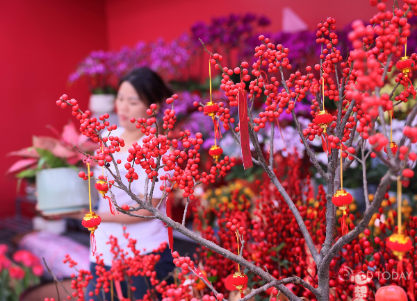 大阳城集团娱乐视频