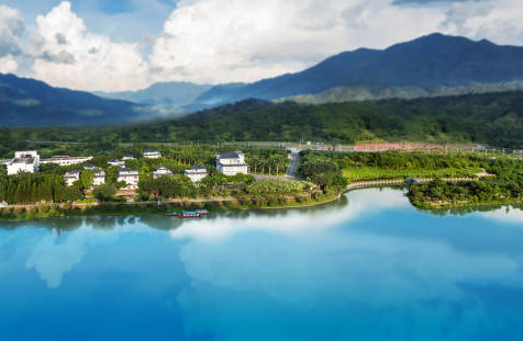 从化温泉，“冬日顶流”何以“长红”