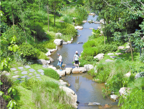 广州构建从国家植物园到城市公园再到社区绿地的植物迁地保护网络体系